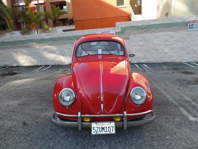 1951 Volkswagen Beetle - Classic Beetle