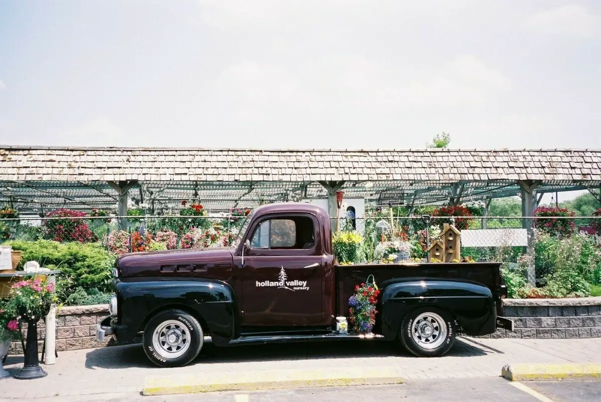 1952 Ford F-100 standard