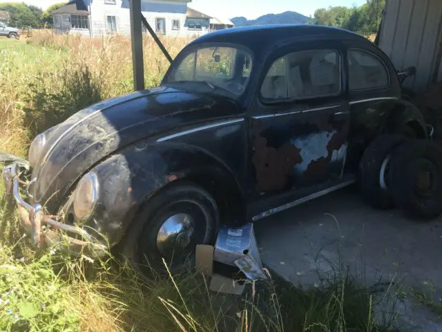 1952 Volkswagen Beetle - Classic