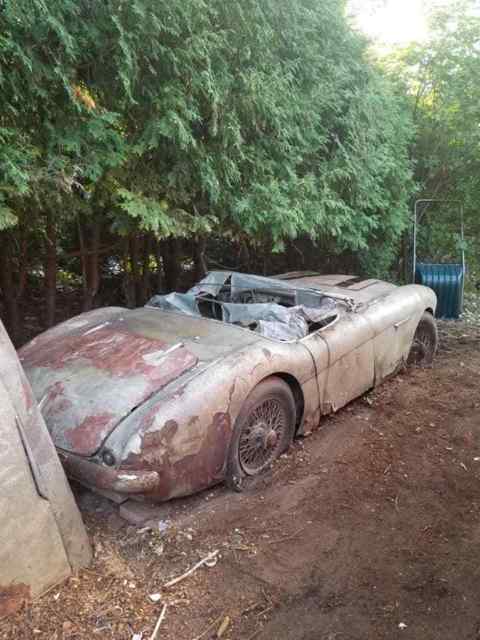 1954 Austin Healey BN1