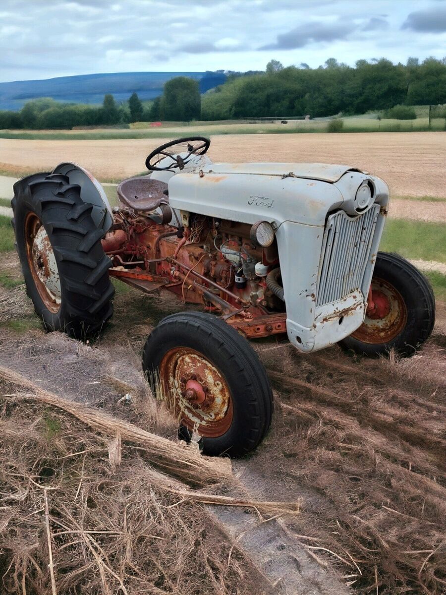 1954 Ford F