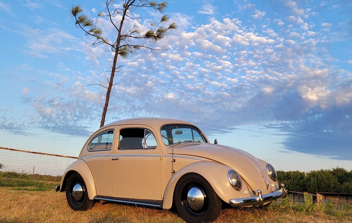 1954 Volkswagen Beetle - Classic Deluxe