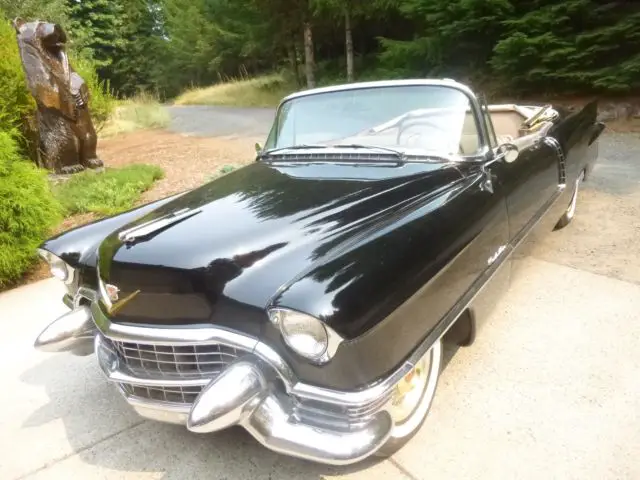 1955 Cadillac Eldorado