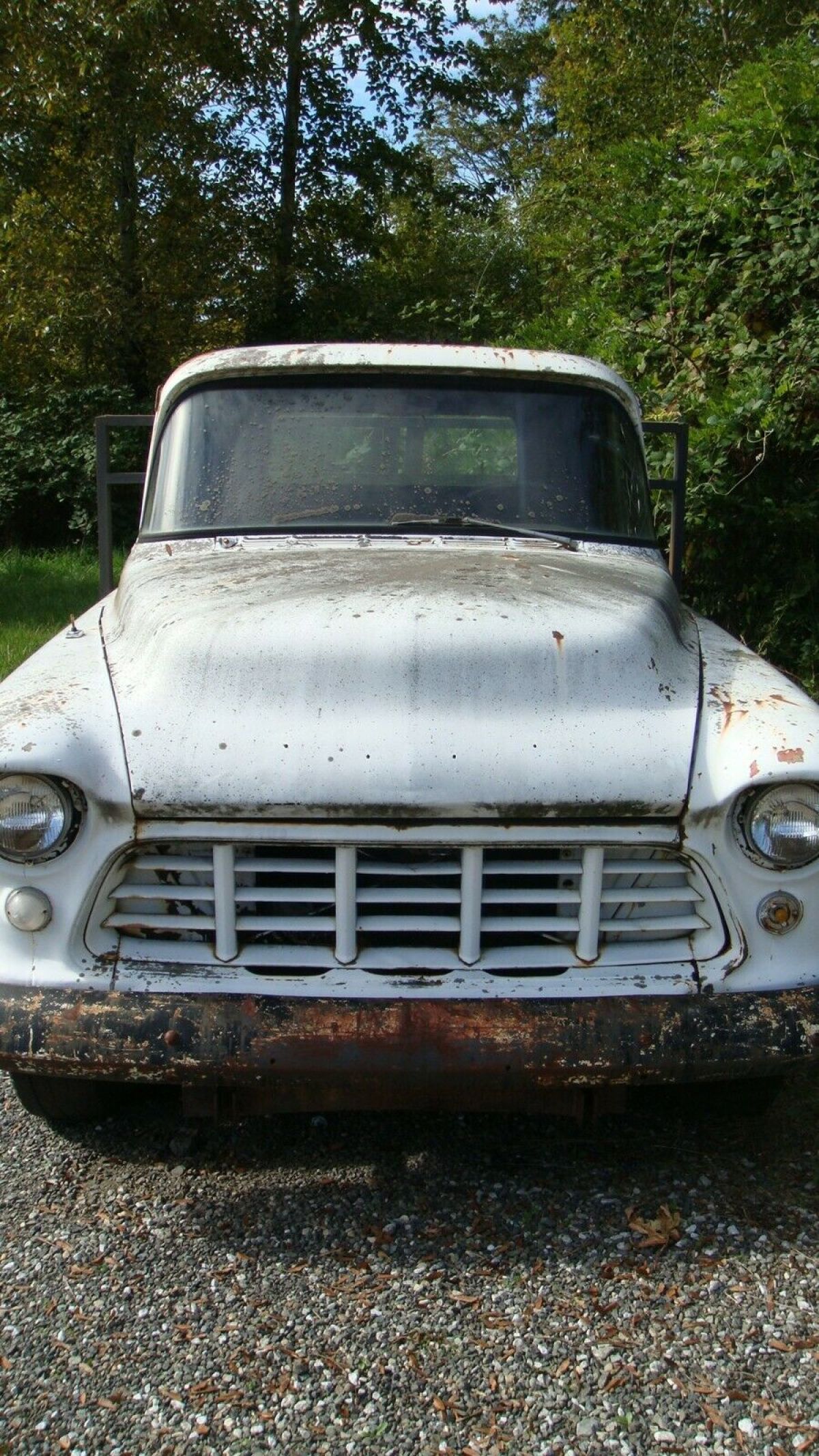 1955 Chevrolet Other Pickups