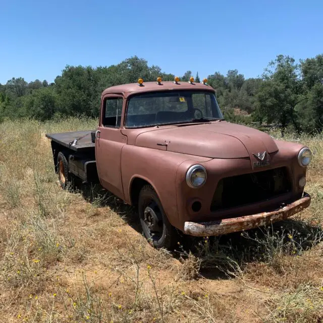 1955 Dodge Pickup