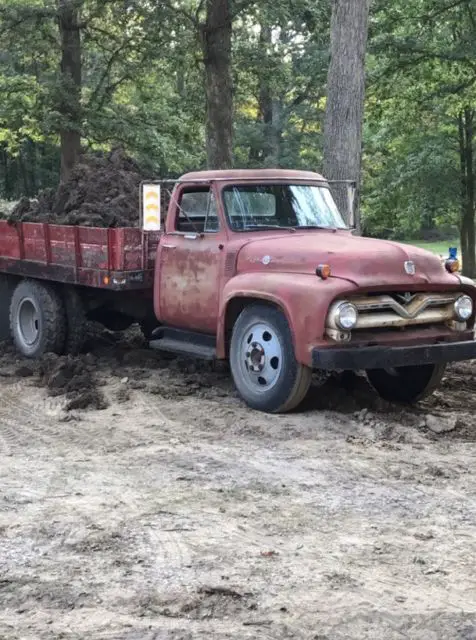 1955 Ford F-100