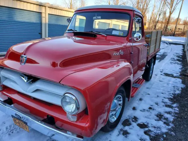 1955 Ford F100