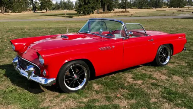 1955 Ford Thunderbird thunderbird