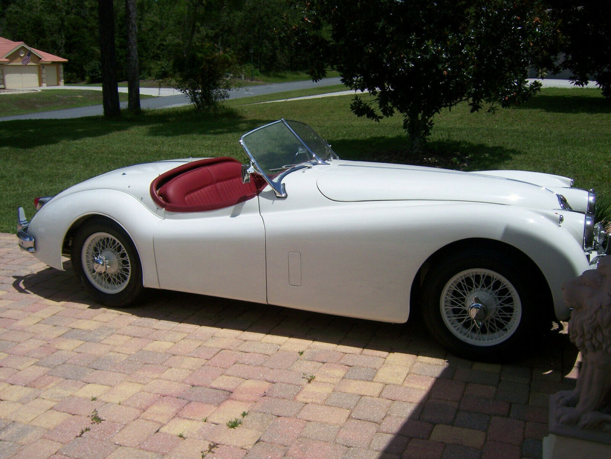 1955 Jaguar XK