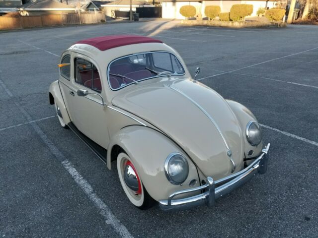 1955 Volkswagen Beetle - Classic Coupe