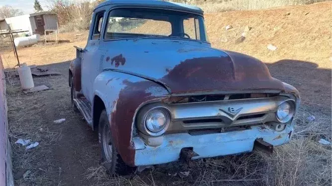 1956 Ford F100