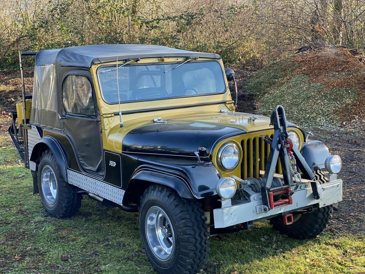 1956 Jeep willy black