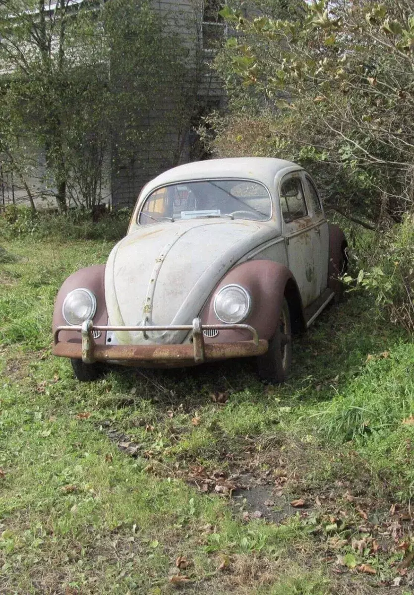 1956 Volkswagen Beetle - Classic