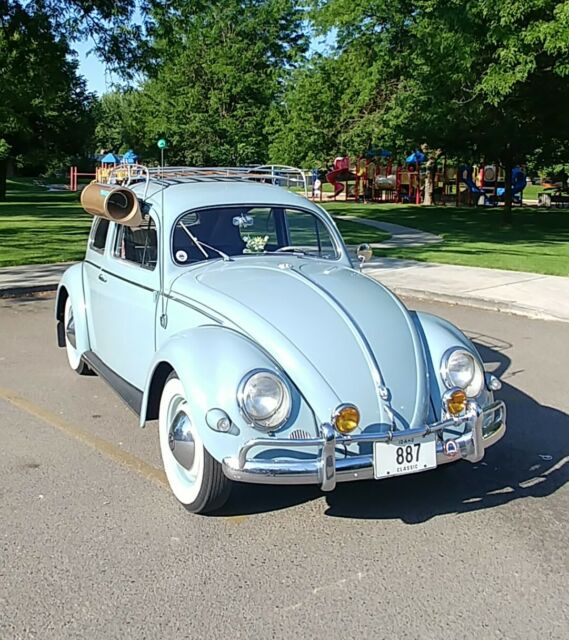 1956 Volkswagen Beetle - Classic standard oval
