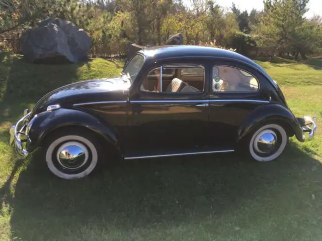 1958 Volkswagen Beetle - Classic