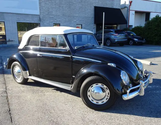 1958 Volkswagen Beetle - Classic