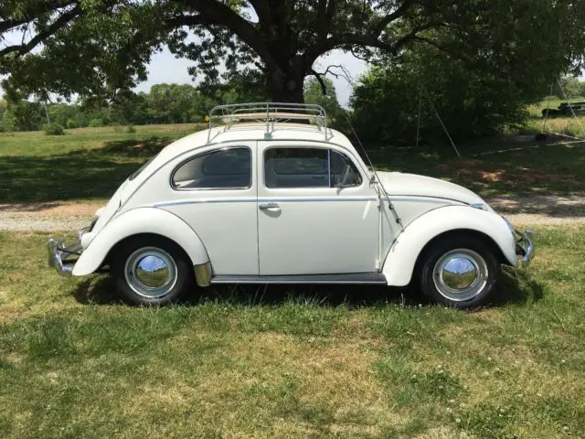 1958 Volkswagen Beetle - Classic