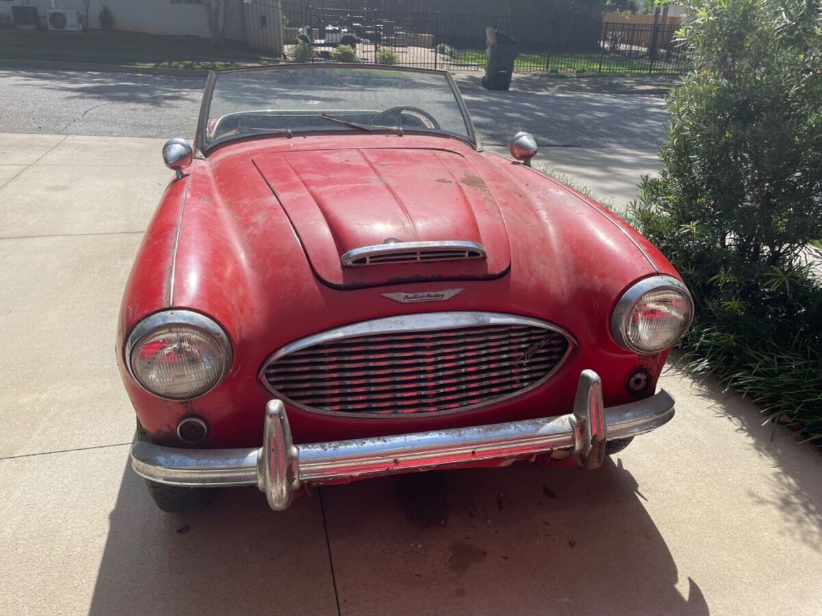 1959 Austin Healey 100