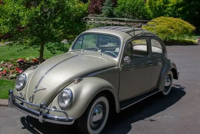 1959 Volkswagen Beetle - Classic