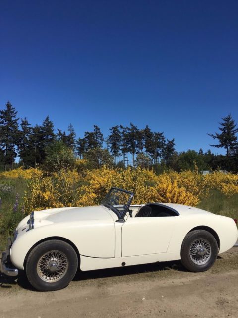 1959 Austin Healey Sprite