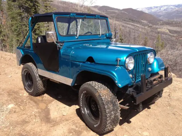 1959 Willys Willys CJ5