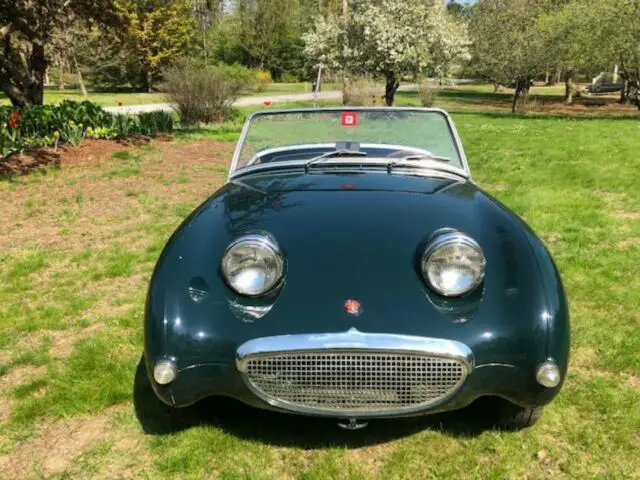 1960 Austin Healey Sprite