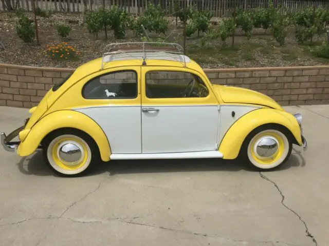 1960 Volkswagen Beetle - Classic Ragtop