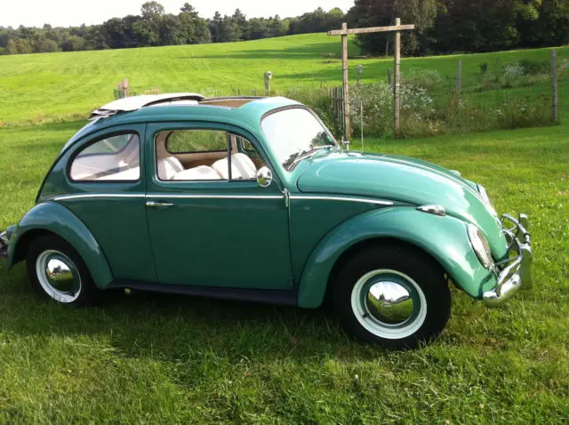 1960 Volkswagen Beetle - Classic