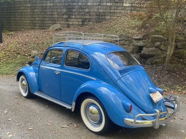 1960 Volkswagen Beetle - Classic