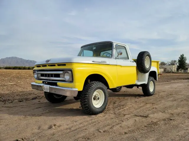 1961 Ford F100