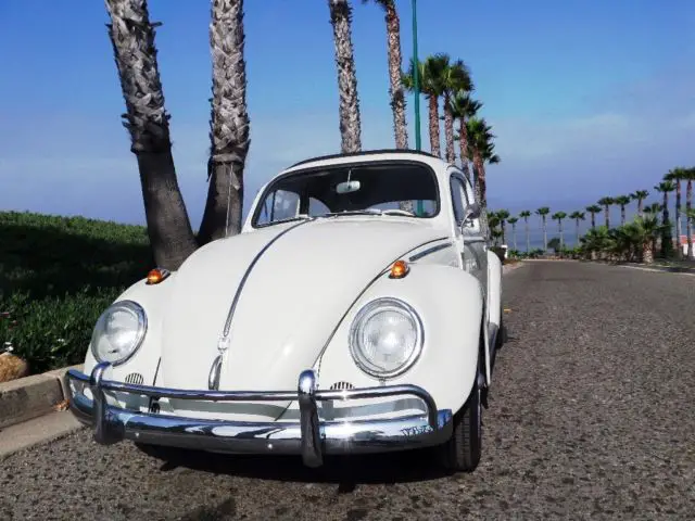 1961 Volkswagen Beetle - Classic DELUXE