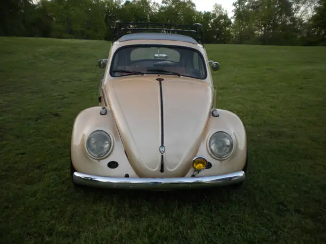 1961 Volkswagen Beetle - Classic