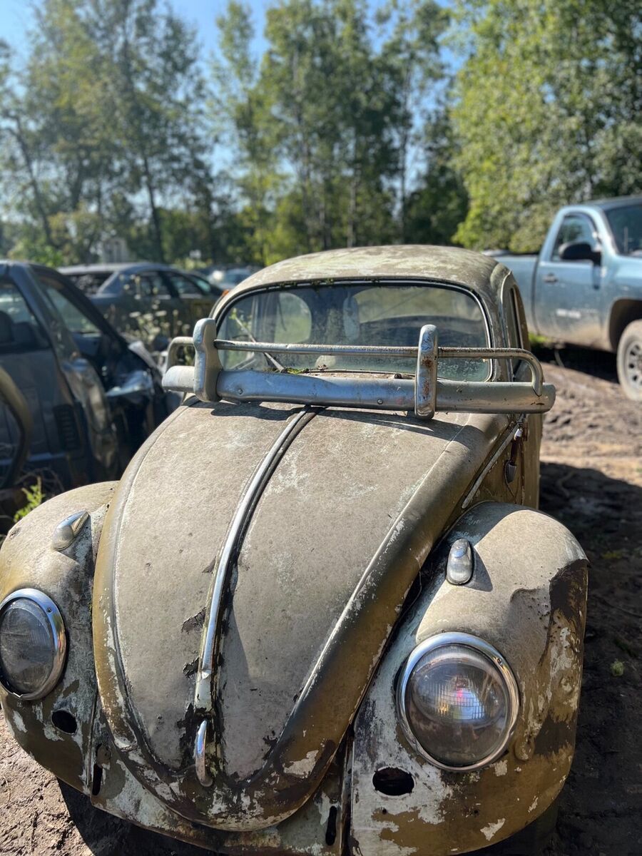 1961 Volkswagen Beetle (Pre-1980)