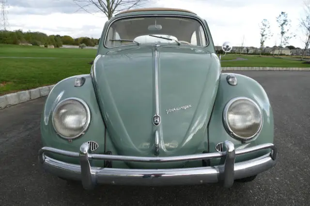 1961 Volkswagen Beetle - Classic