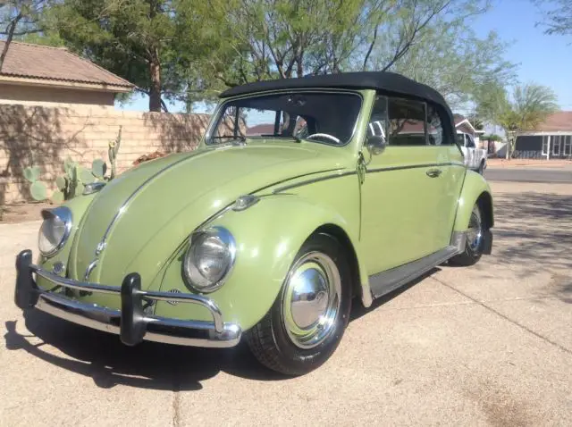 1961 Volkswagen Beetle - Classic