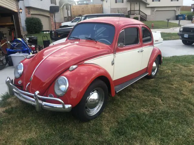 1961 Volkswagen Beetle - Classic classic