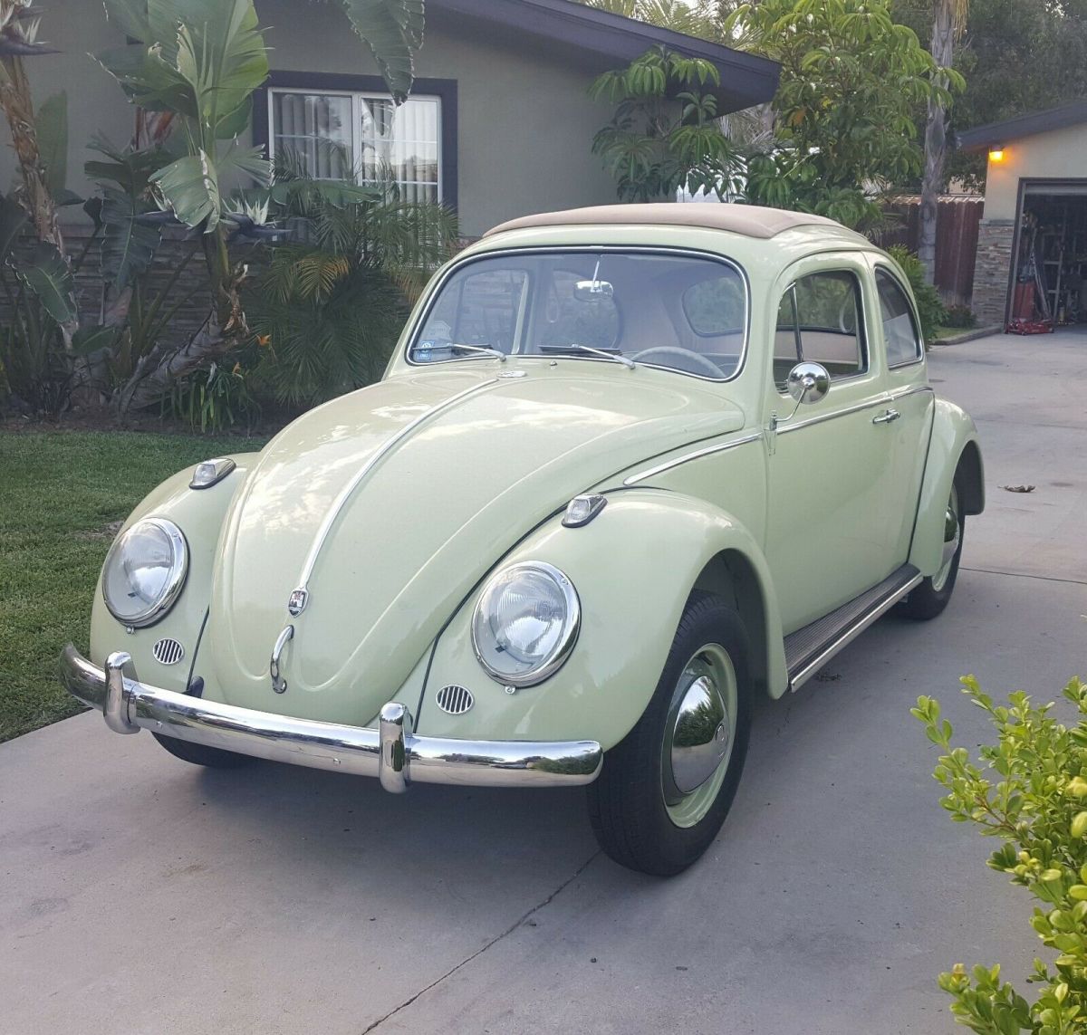 1961 Volkswagen Beetle - Classic