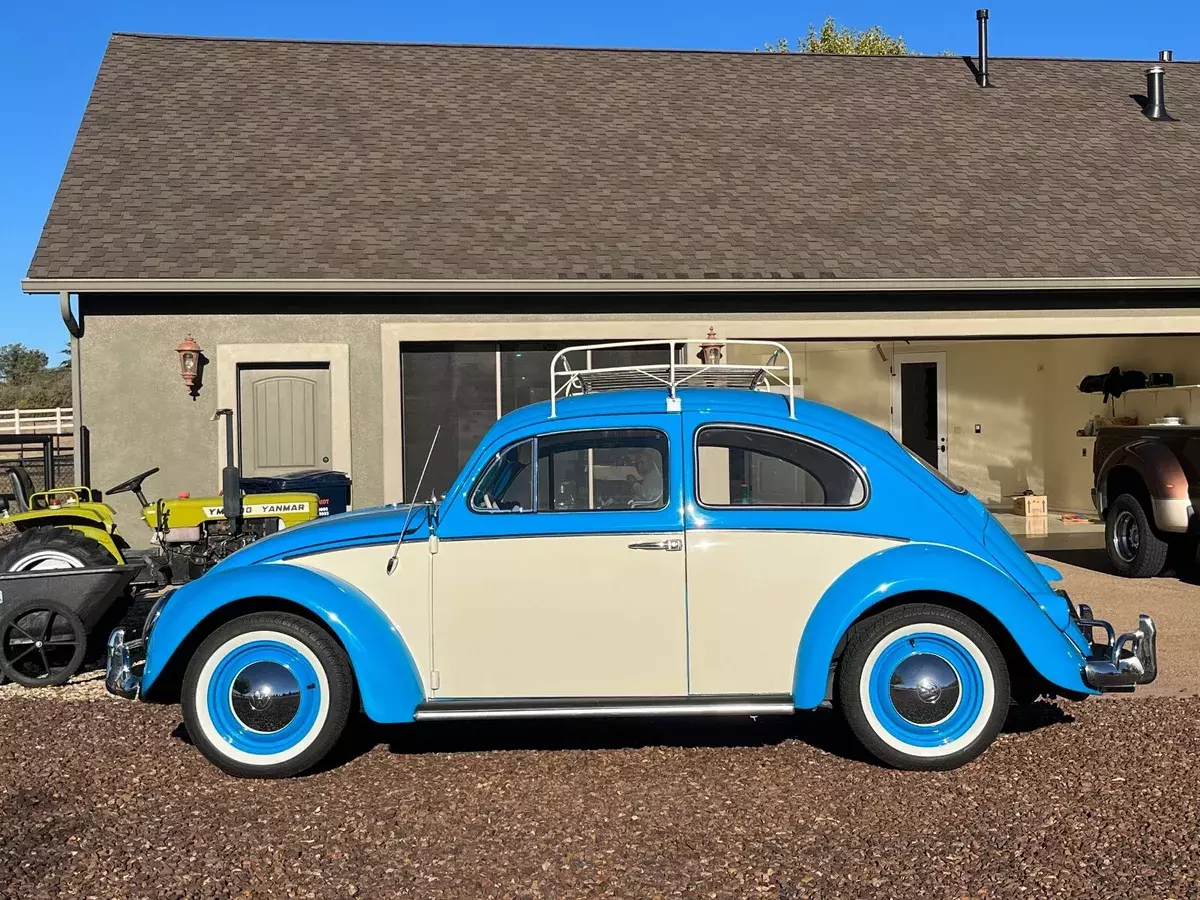 1961 Volkswagen Beetle - Classic Two tone with luggage rack