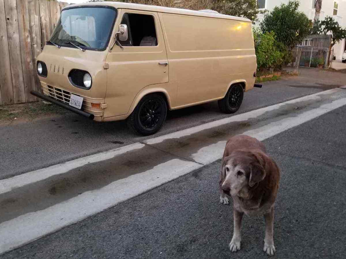 1962 Ford E-Series Van SURF VAN