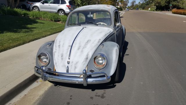 1962 Volkswagen Beetle - Classic Vinyl