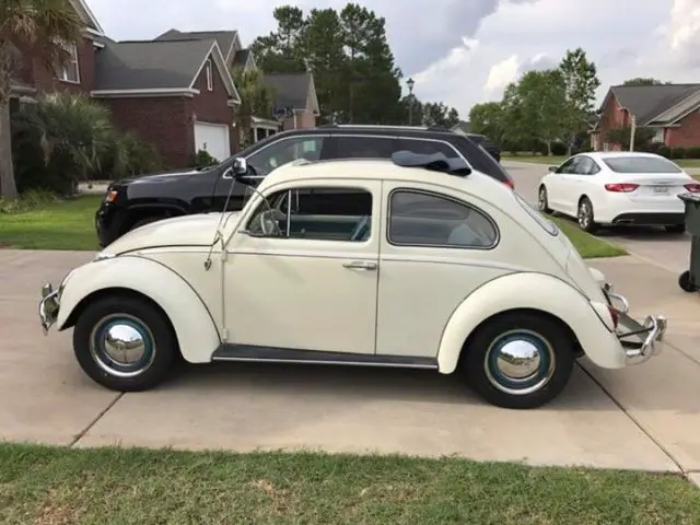 1962 Volkswagen Beetle - Classic sedan