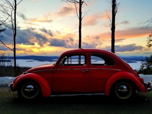 1962 Volkswagen Beetle - Classic