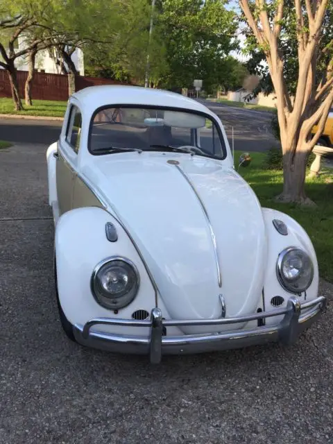 1963 Volkswagen Beetle - Classic