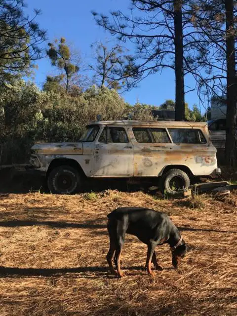 1963 Chevrolet Other Pickups