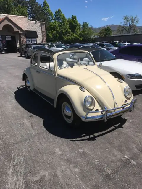 1963 Volkswagen Beetle - Classic