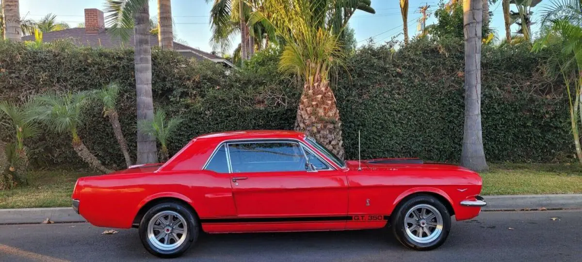 1964 Ford Mustang Shelby GT 350 tribute