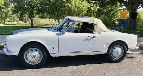 1964 Alfa Romeo Giulia SPIDER