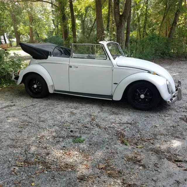 1964 Volkswagen Beetle - Classic