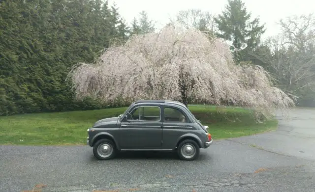 1964 Fiat 500 D