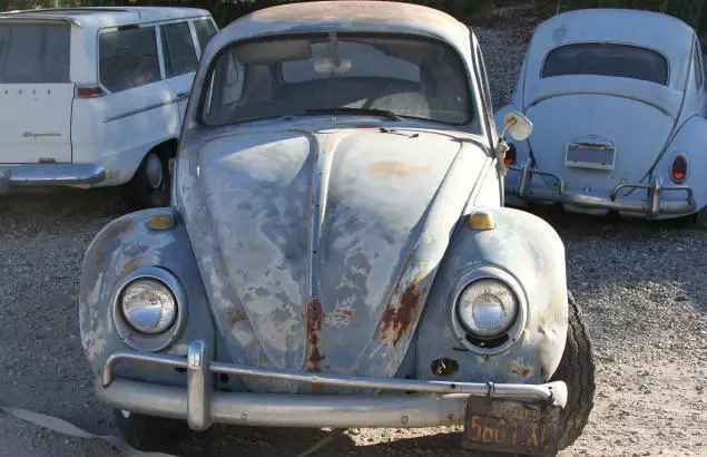 1964 Volkswagen Beetle - Classic